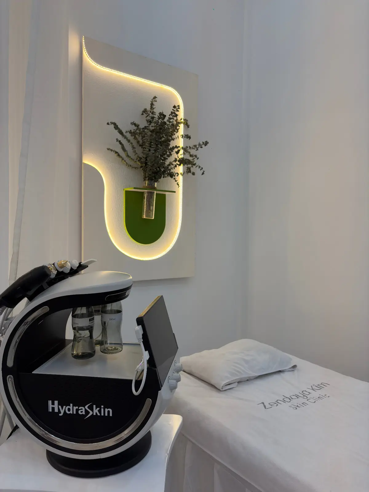 HydraSkin room